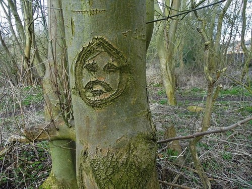 Photo 6x4 face - photo,