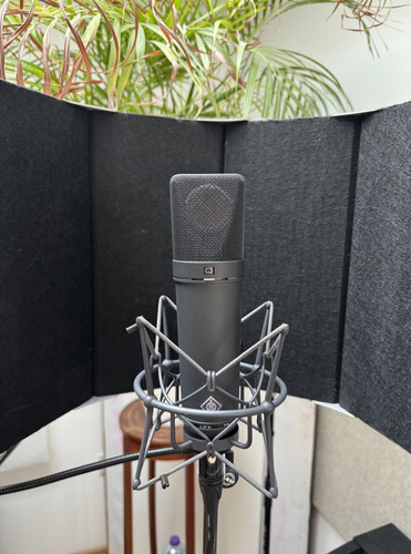 Neumann u87 ea 87 - u87, mt