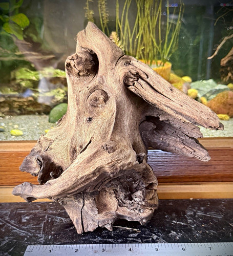Aquarium driftwood 20cm - driftwood,