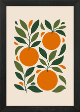Orange Fruit Botanical