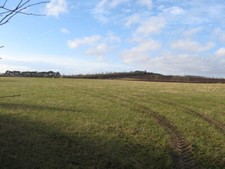 Photo 6x4 Pasture land in the