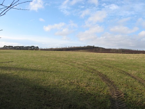 Photo 6x4 pasture - 6x4,