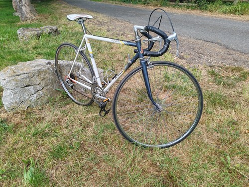 Vintage raleigh equipe racing - raleigh,