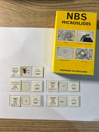 Nbs microscope slides - nbs,