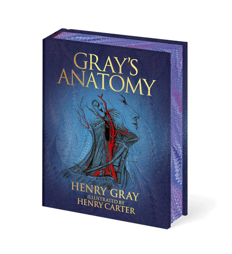 Grays anatomy book arcturus - anatomy, (arcturus