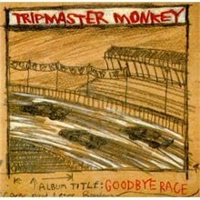 Goodbye race tripmaster - goodbye, by