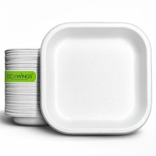 Small Disposable Plates - 6
