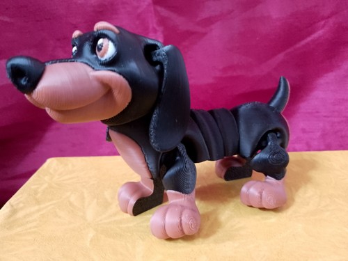 Cute dachshund dog - dachshund,
