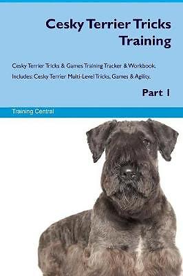 Cesky terrier tricks - cesky,