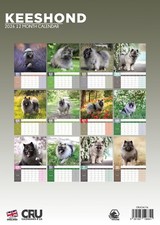 Keeshond Dog 2026 A3 Calendar