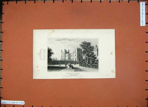 Old antique print 1846 - antique,