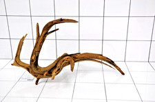 Aquarium Natural Driftwood