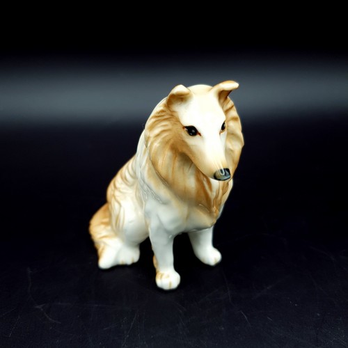 Vintage collie dog - vintage,