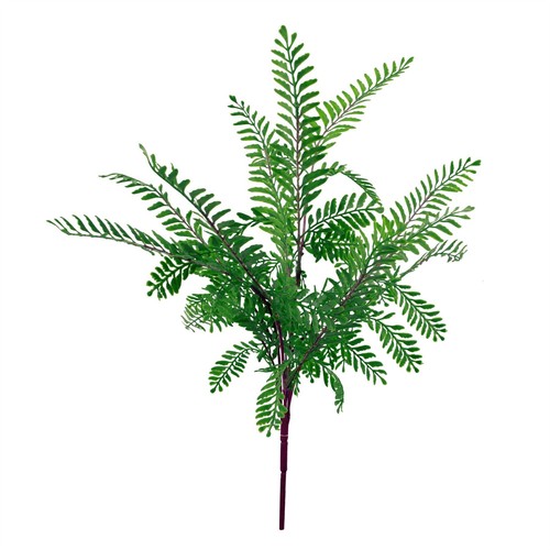 Fern bush 55cm - bush,