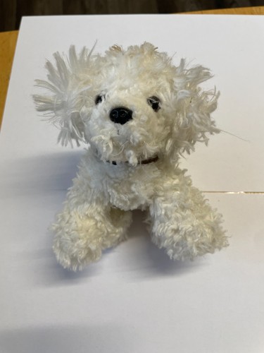 Beanie babies rascal the - beanie,