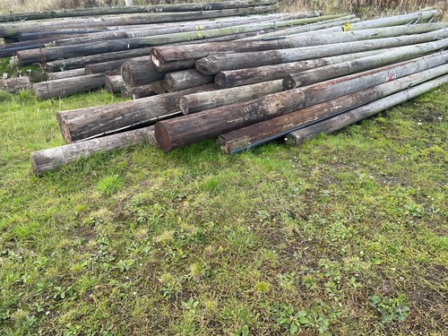 Telegraph poles for - for, sale