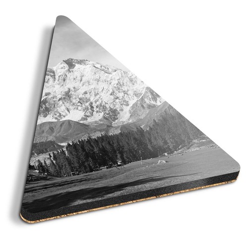Triangle coaster bw - coaster,