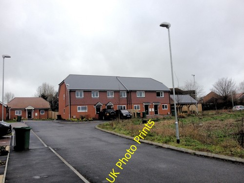 Photo 6x4 cobnut close - 6x4,