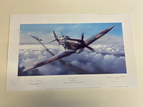Adrian rigby spitfire art - rigby,