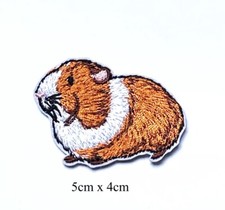 Guinea Pig Domestic Pet Animal