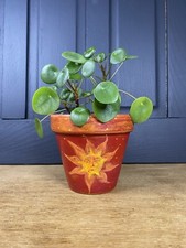 Celestial hand painted