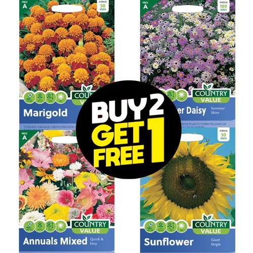 Flower seeds nasturtium - flower,