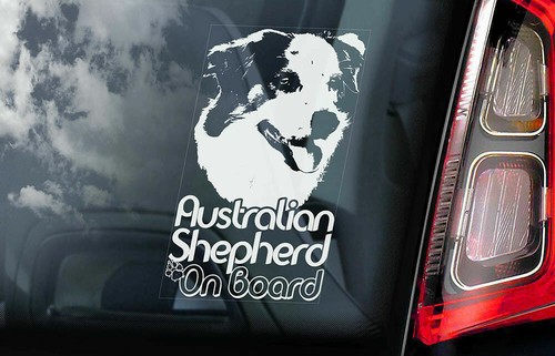 Australian shepherd car - australian,