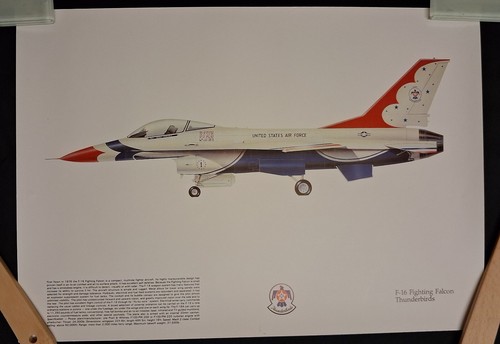 Fighting falcon - fighting,