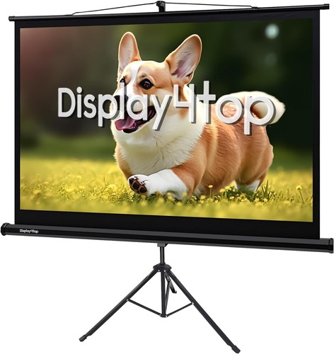 Portable projector - 60",