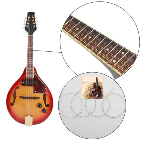 Electric mandolin style - v1_electric,