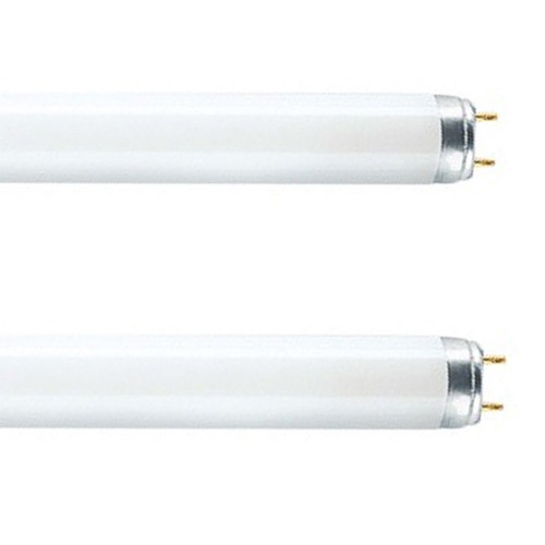 Fluorescent tube f18w 865 2ft - f18w/865,