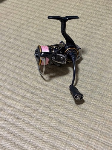 Daiwa caldia lt2000s - caldia,