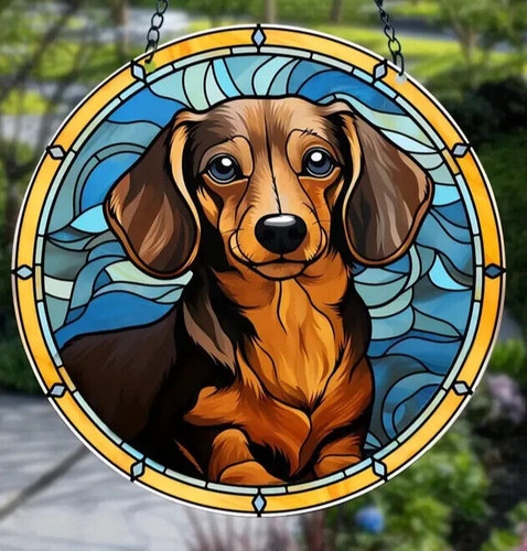 Dachshund doxie sausage dog - dachshund,