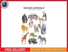NEW (LAMINATED) Safari Animals