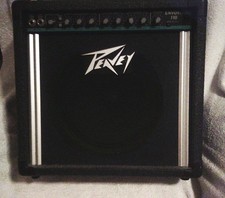 PEAVEY ENVOY 110 AMP