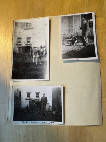 Photo photographs - photo, 3