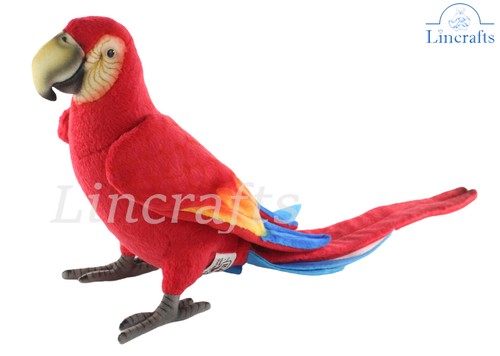 Scarlet macaw plush soft toy - macaw,