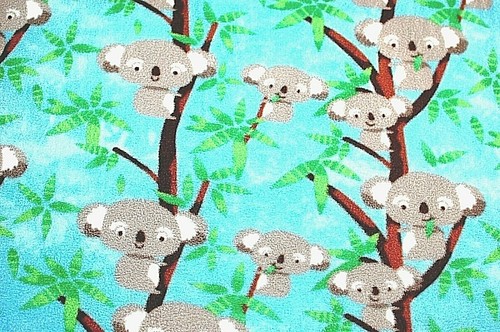 Baby koala bears hanging - baby,