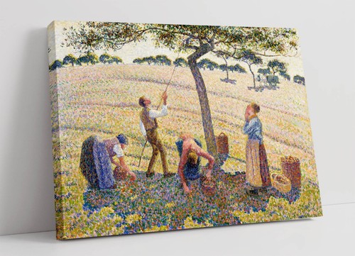 Apple harvest camille - harvest,