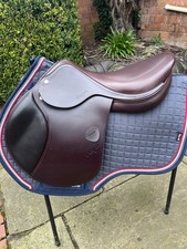 Amerigo ‘Vega’  17”