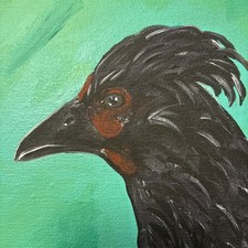 Serious Bird, Black Polish Chicken, an original painting 8x10 acrylic on canvas
