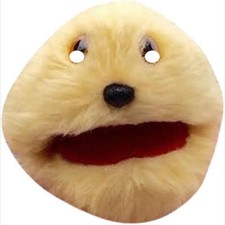 Gordon The Gopher Animal