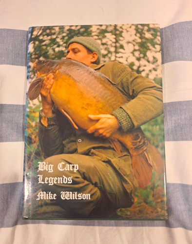 Mike wilson big - mike,