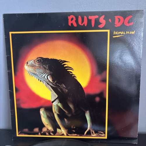 Ruts animal now v2193 - dc,