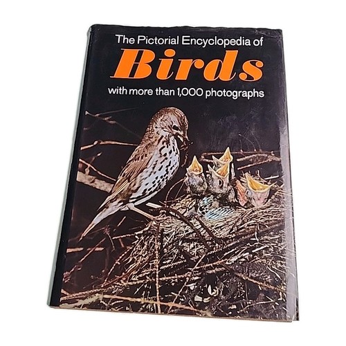 Pictorial encyclopedia - encyclopedia, of