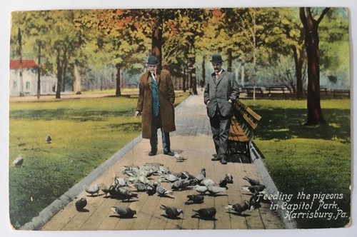 1909 postcard harrisburg - pa,