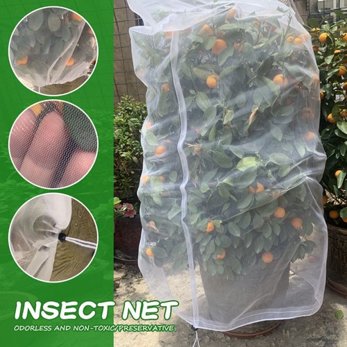 Garden plant tree fruit cover - plant,