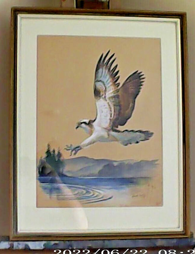 Original framed watercolour - original,