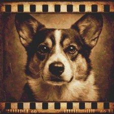 Cardigan Welsh Corgi Puppy Dog