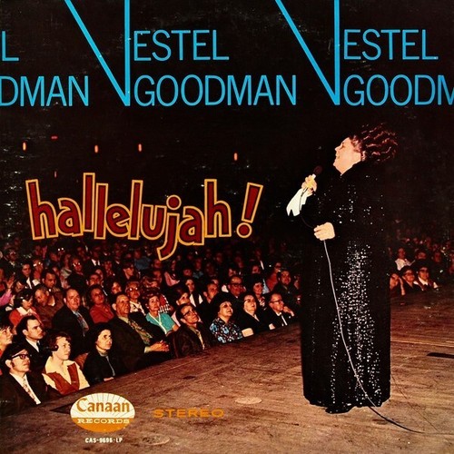 Hallelujah vestel goodman - vestel,